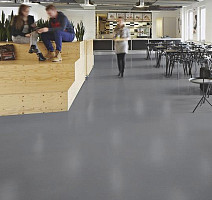 Forbo SureStep Laguna 181092 elephant фото 2 | FLOORDEALER